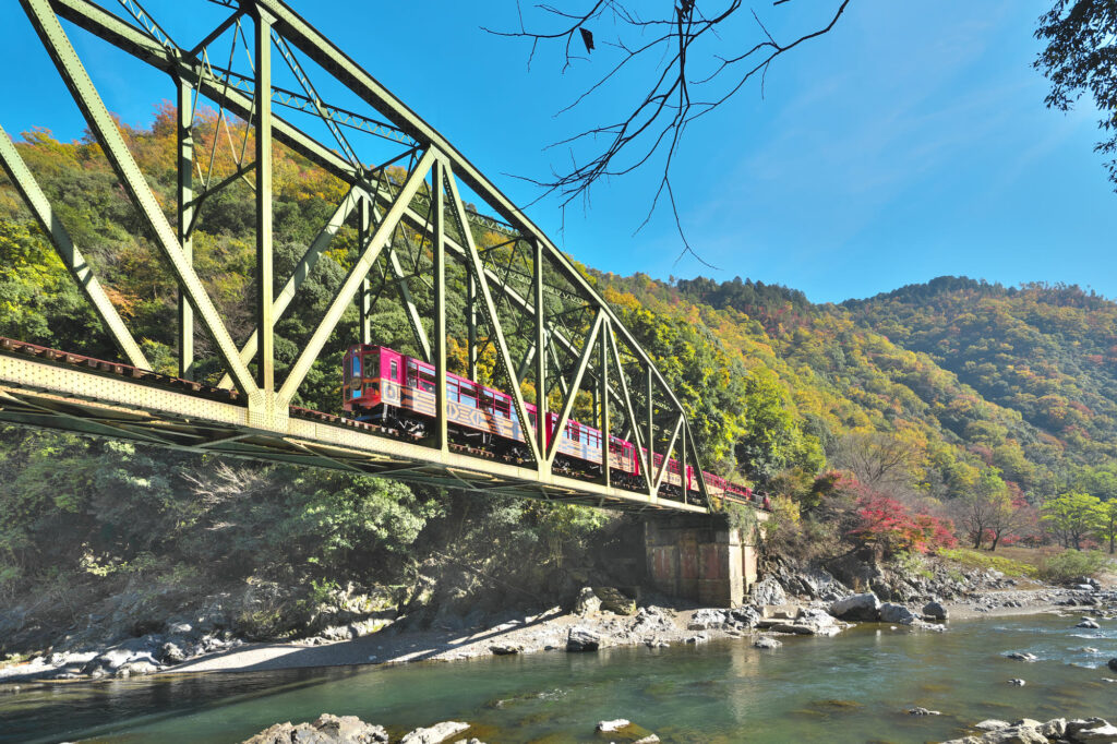 素晴らしい景色と嵯峨野トロッコ列車
