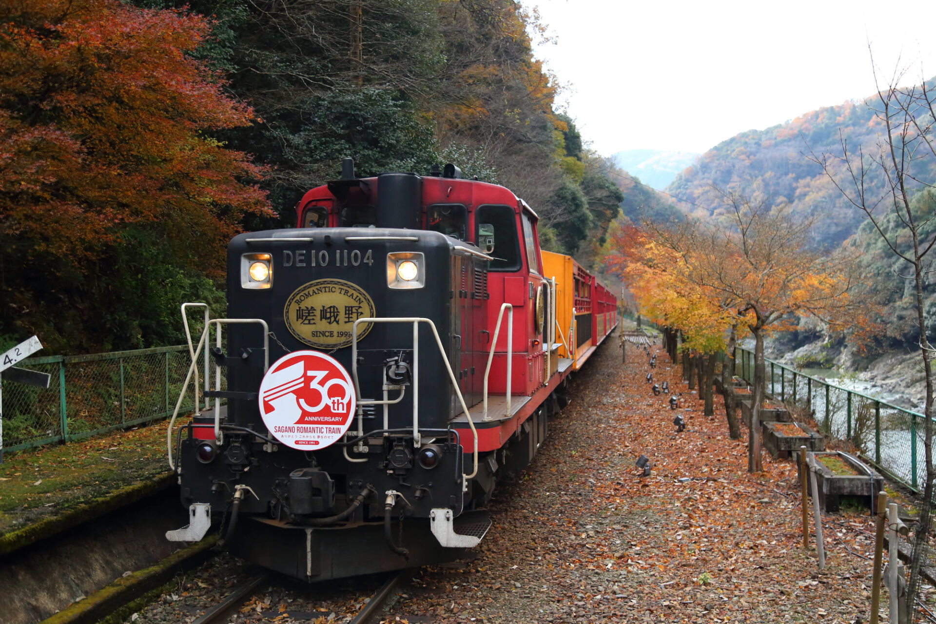 秋道を走る嵐山のトロッコ列車