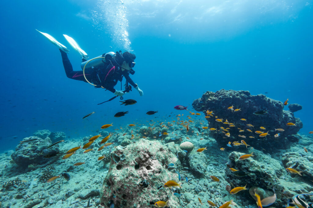 モルディブで楽しむアクティビテ