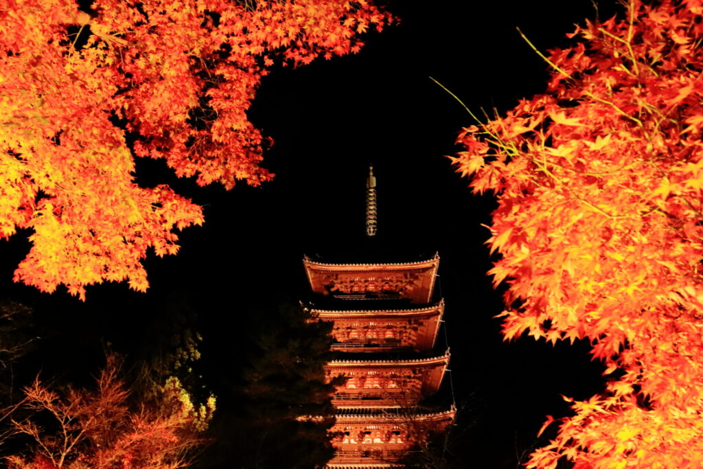 仁和寺紅葉