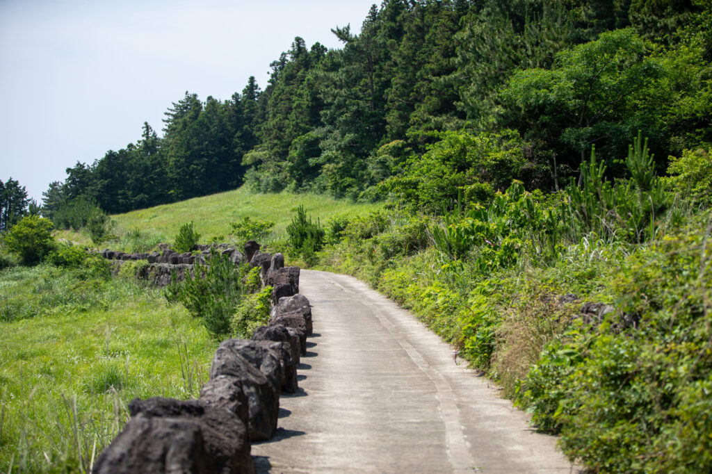済州島のアクティビティ