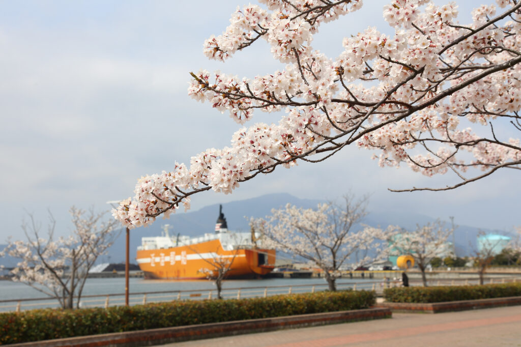 敦賀観光の魅力一挙公開！おすすめのモデルコースをご紹介 | VELTRA旅行ガイド