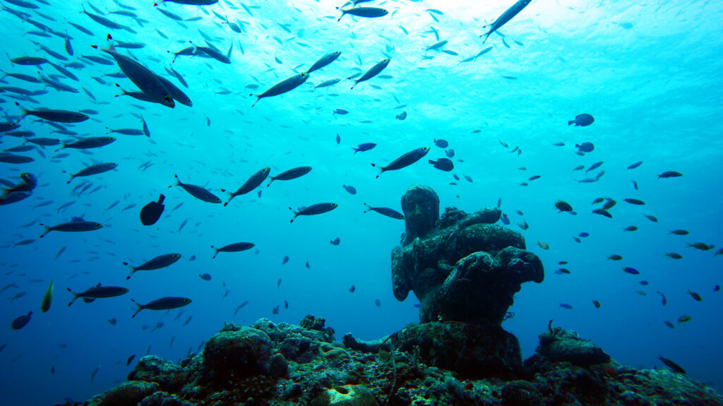 マリンスポーツにお手頃価格で挑戦