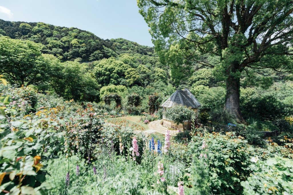 絵本の世界「ACAO FOREST」