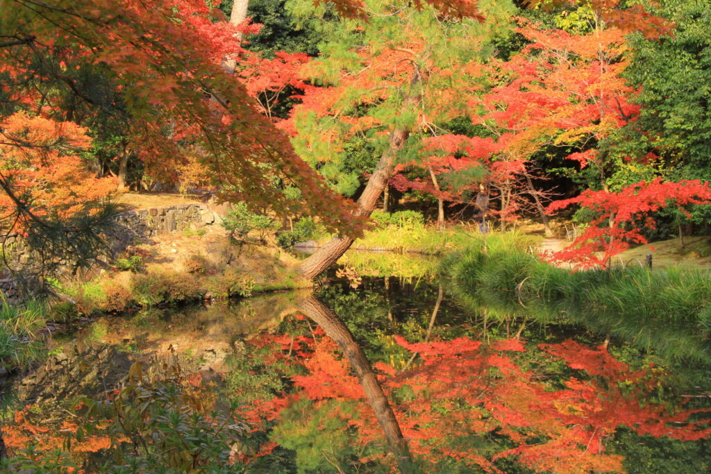 京都の人気紅葉スポットの一つ、等持院