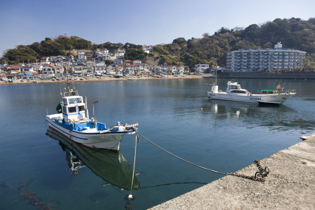 小坪漁港で新鮮な海鮮を堪能
