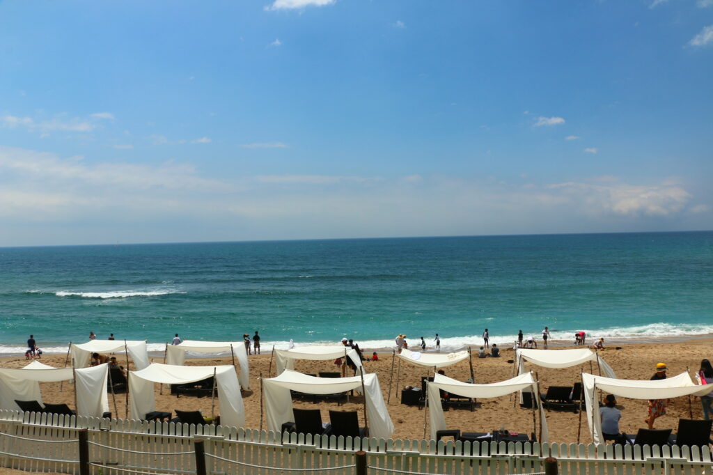 まとめ｜済州島、その魅力はまだまだ！