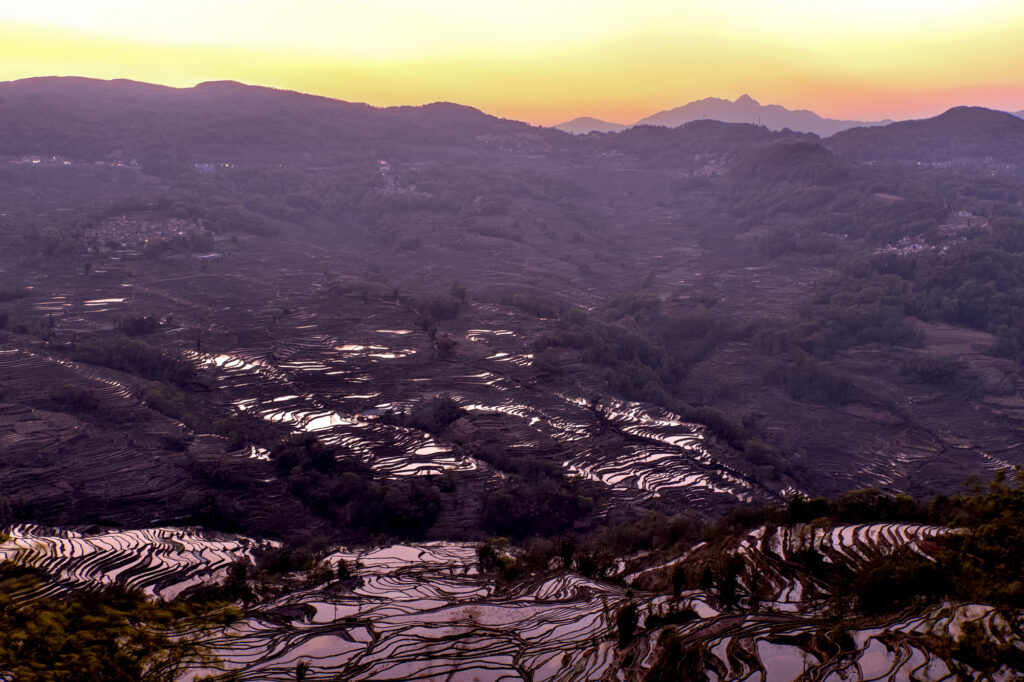 世界最大の棚田、元陽棚田