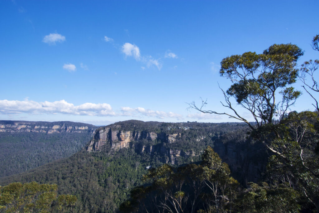 ブルーマウンテンの見どころ