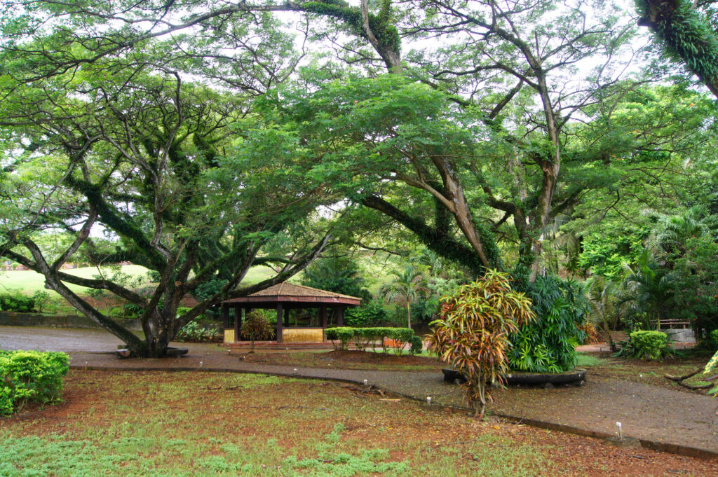 ラッテストーン公園