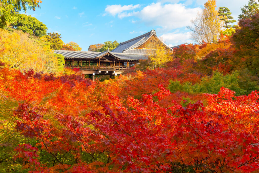 東福寺通天橋の紅葉