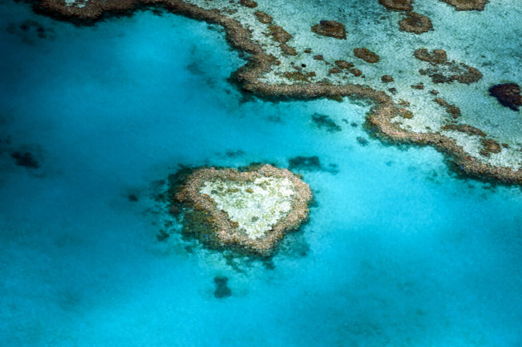 グレートバリアリーフ/ケアンズ