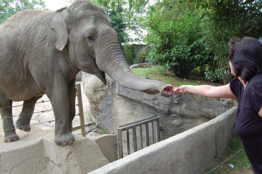 ハーゲンべック動物園