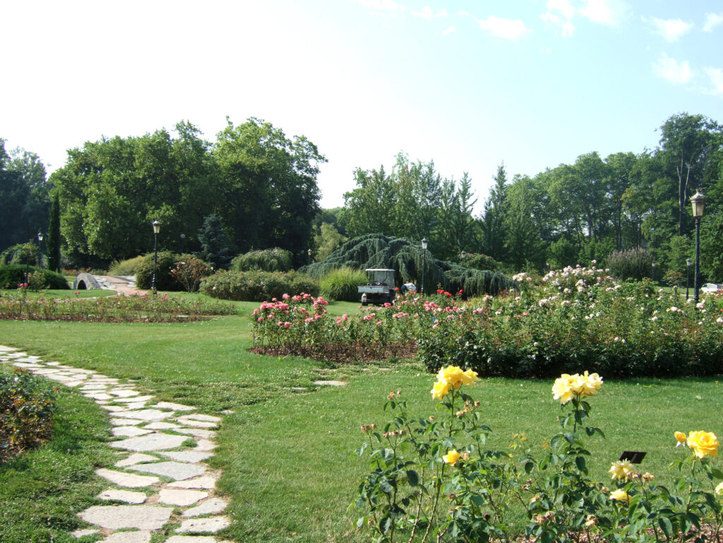 テットドール公園の自然