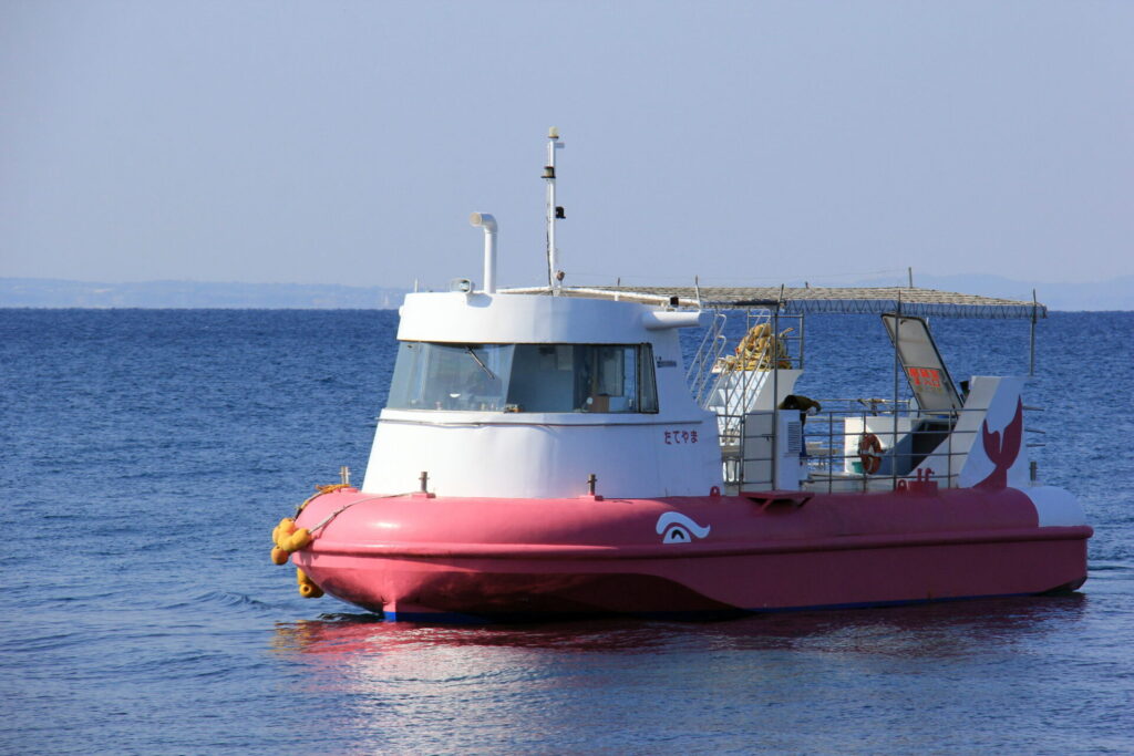 海に浮かぶ観光船