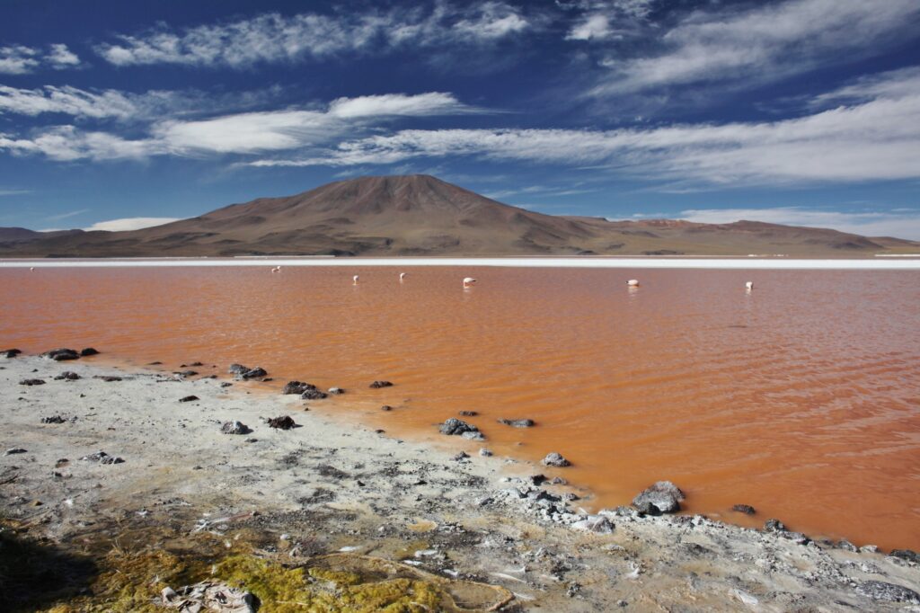 ラグナ・コロラダ