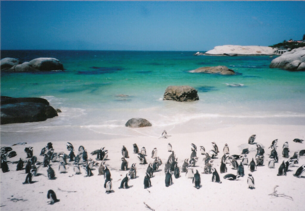 ボルダーズビーチ