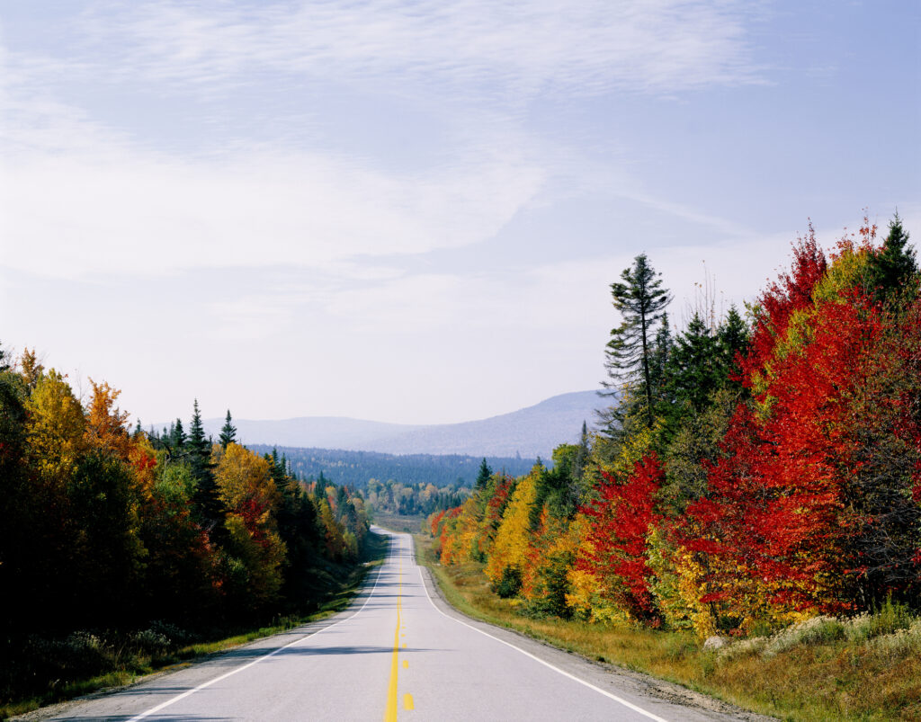 メープル街道（秋）