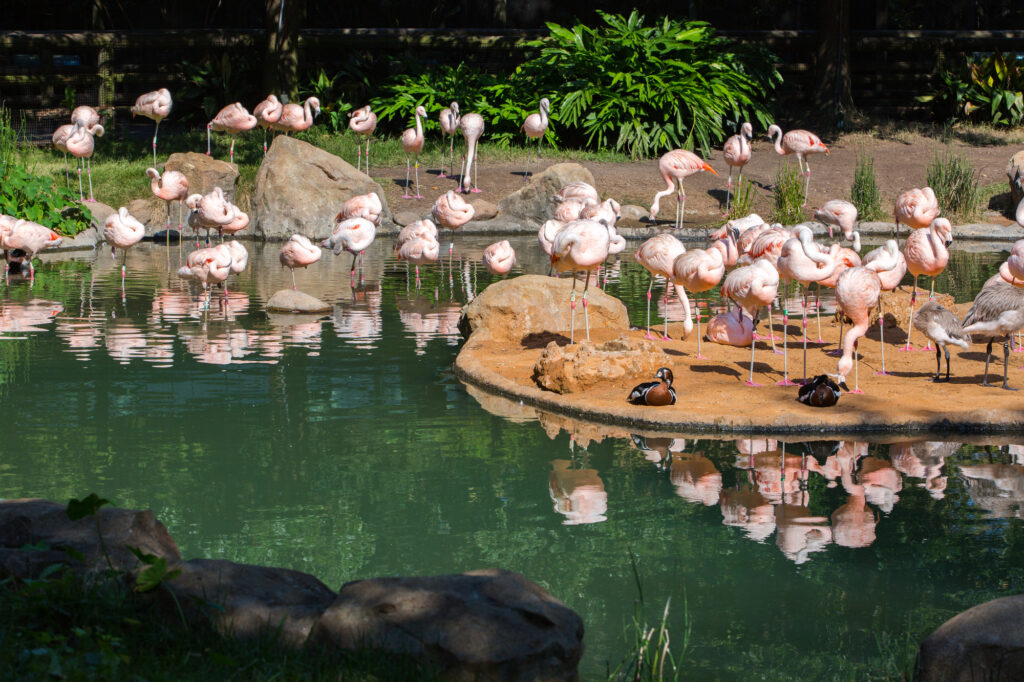 ヒューストン美術館