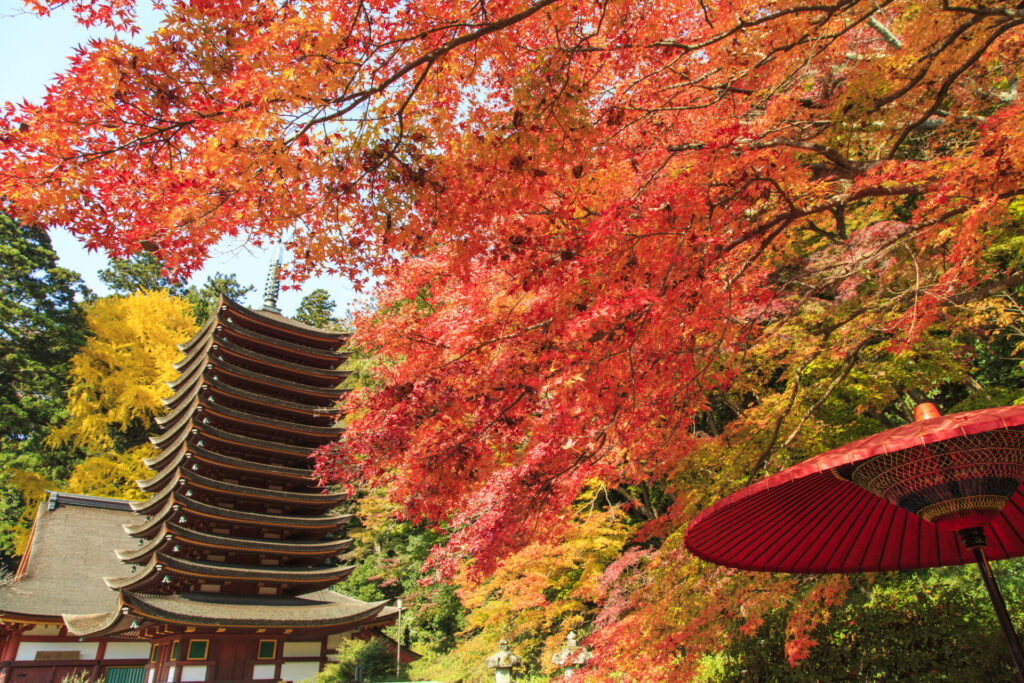 談山神社の紅葉