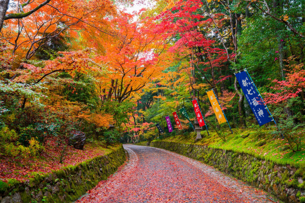 赤山禅院【穴場】～曼殊院門跡～圓光寺