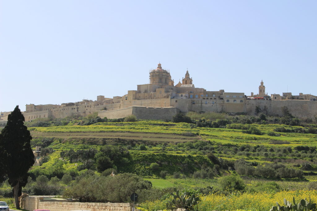 午前: イムディーナの古都を訪れる