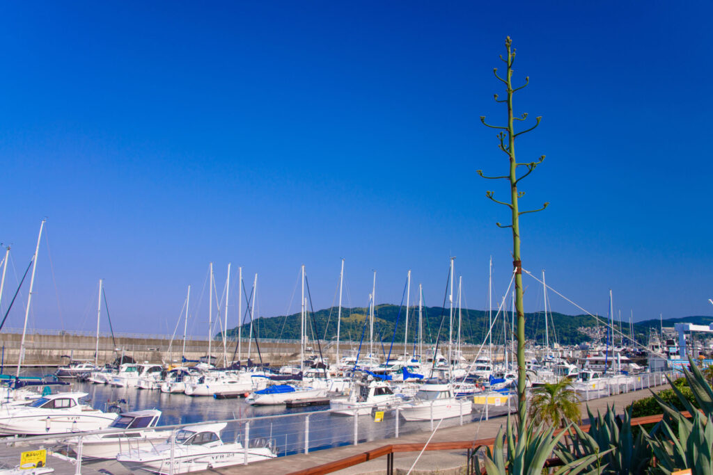 伊東 観光 モデル コース_1日目