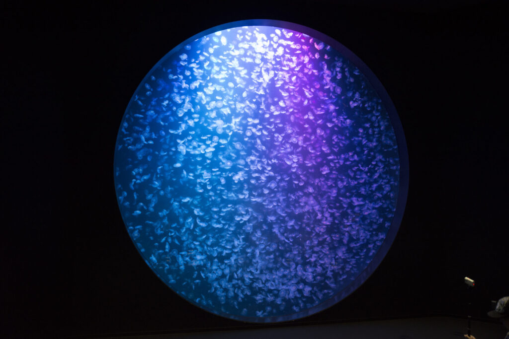 鶴岡 観光 モデル コース_2日目