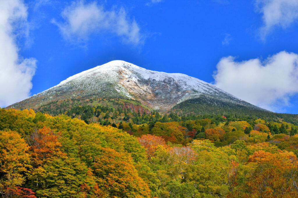 青森 紅葉 モデル コース_まとめ