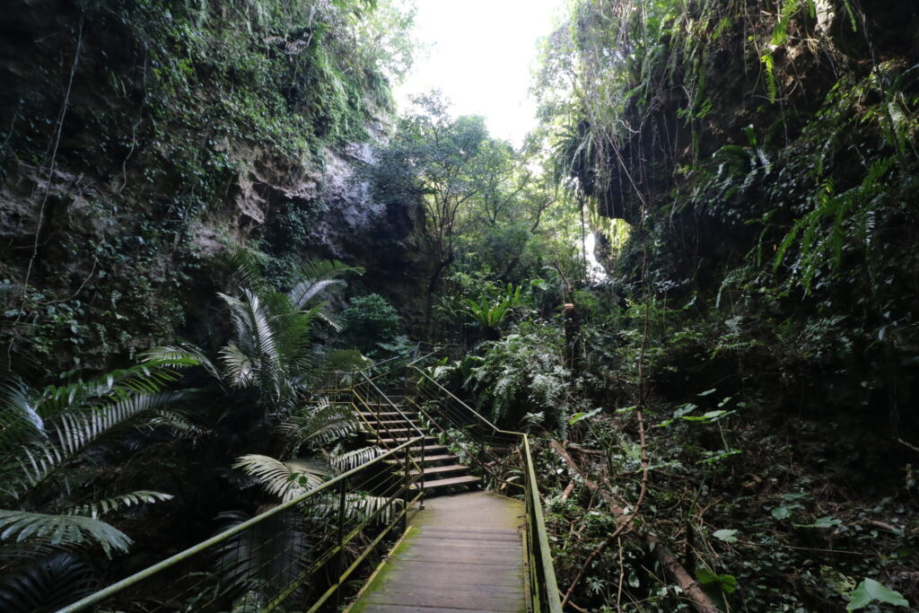 午後: ガンガラーの谷で自然を満喫