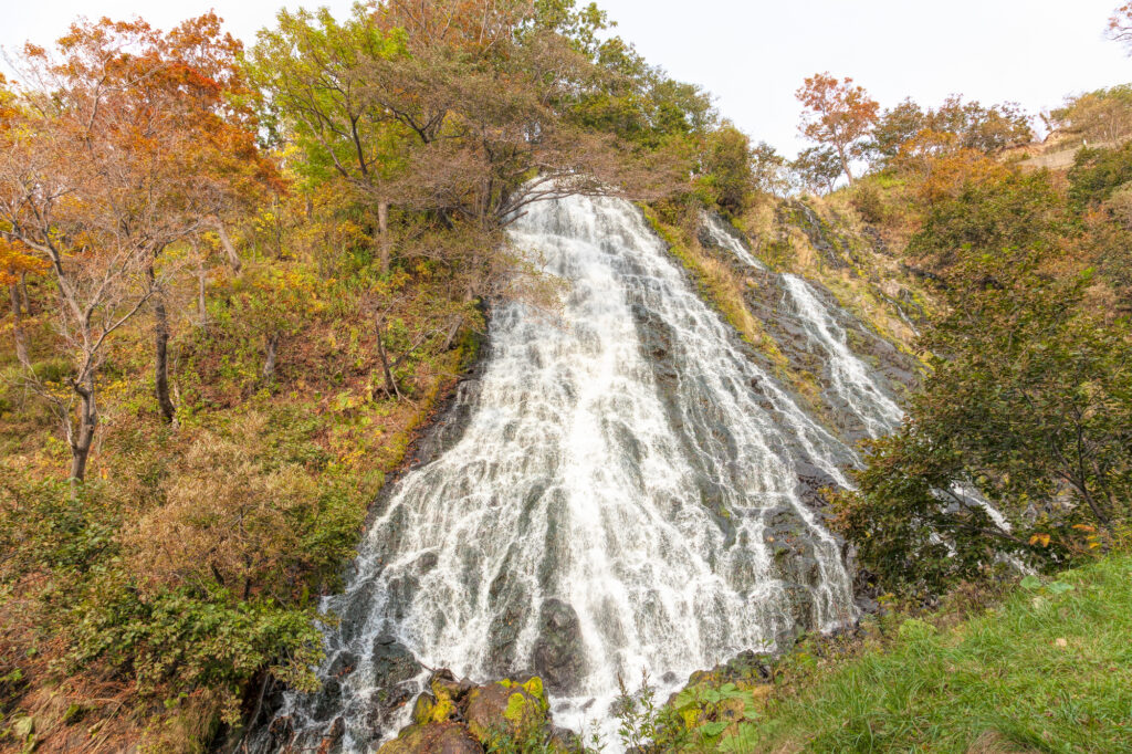 午後: オシンコシンの滝