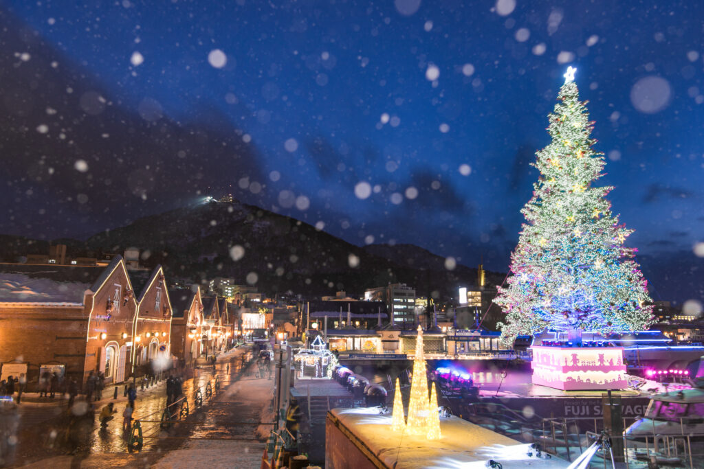 函館 観光 モデル コース 車