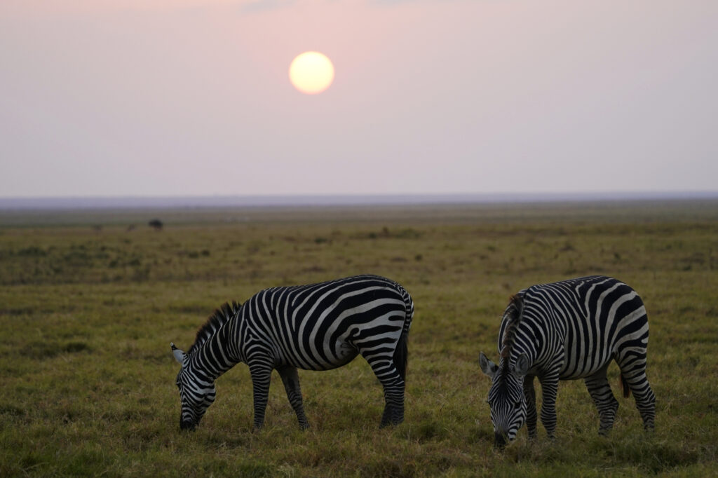 アンボセリ国立公園