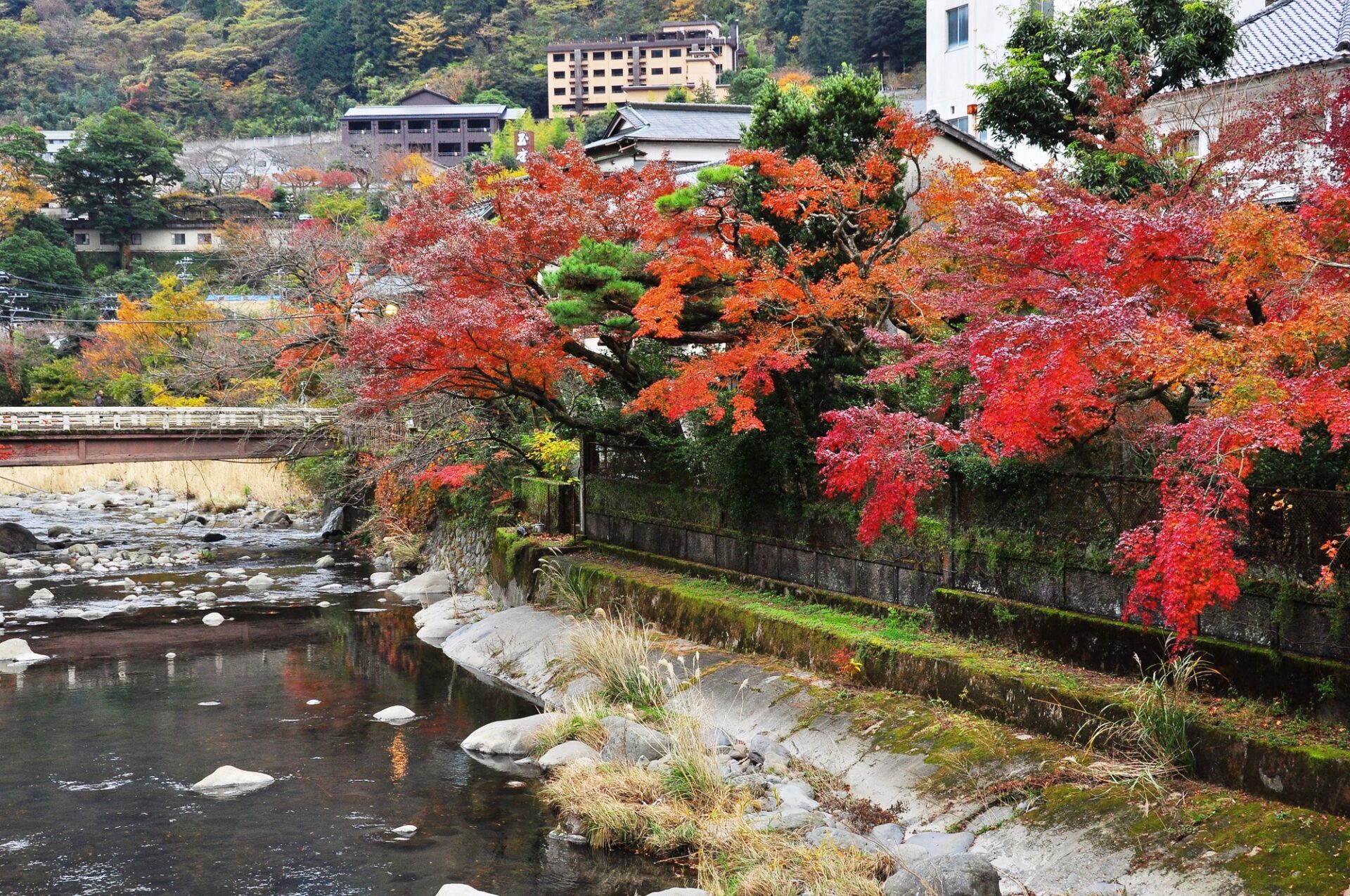 箱根 温泉 おすすめ