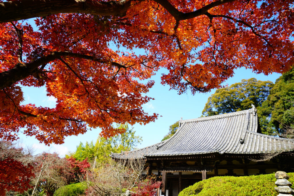 奈良紅葉日帰り_長岳寺
