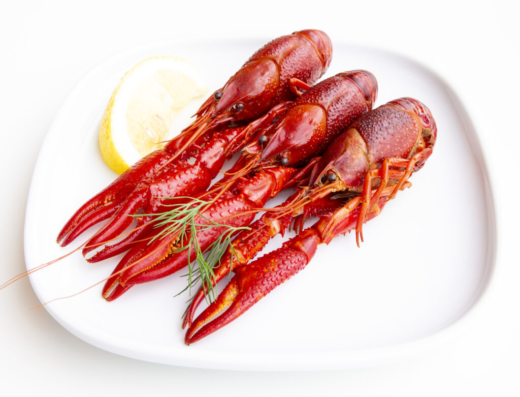 フィンランドのグルメ