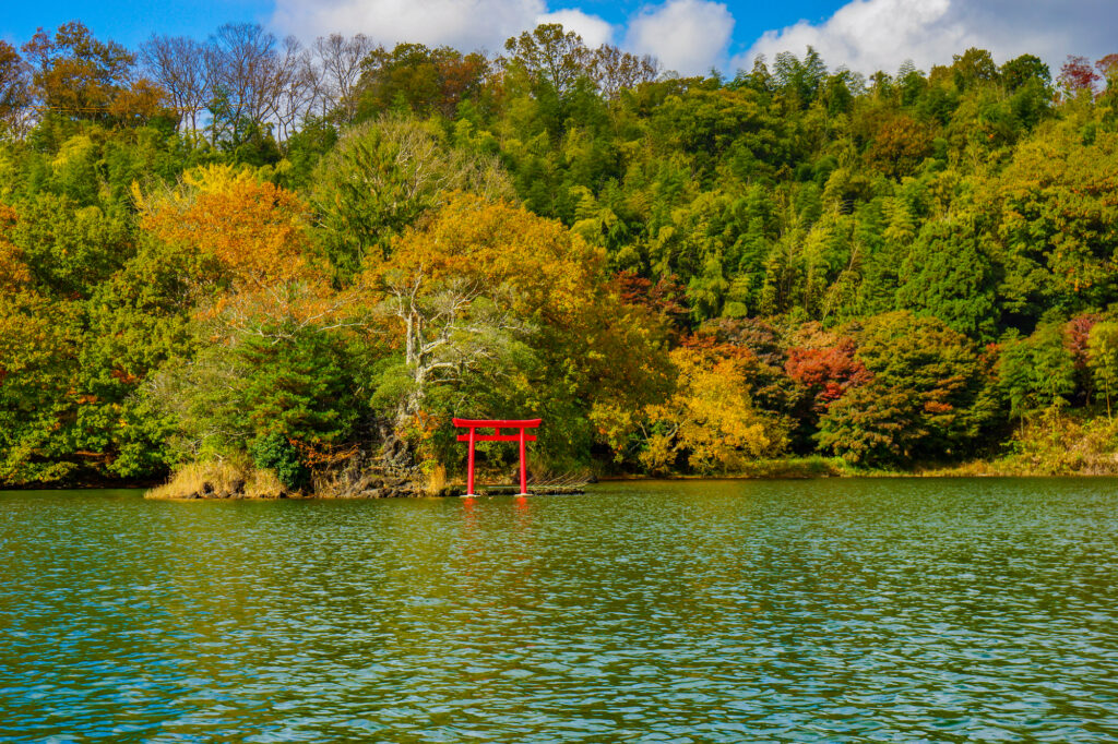 午後: 一碧湖でリフレッシュ