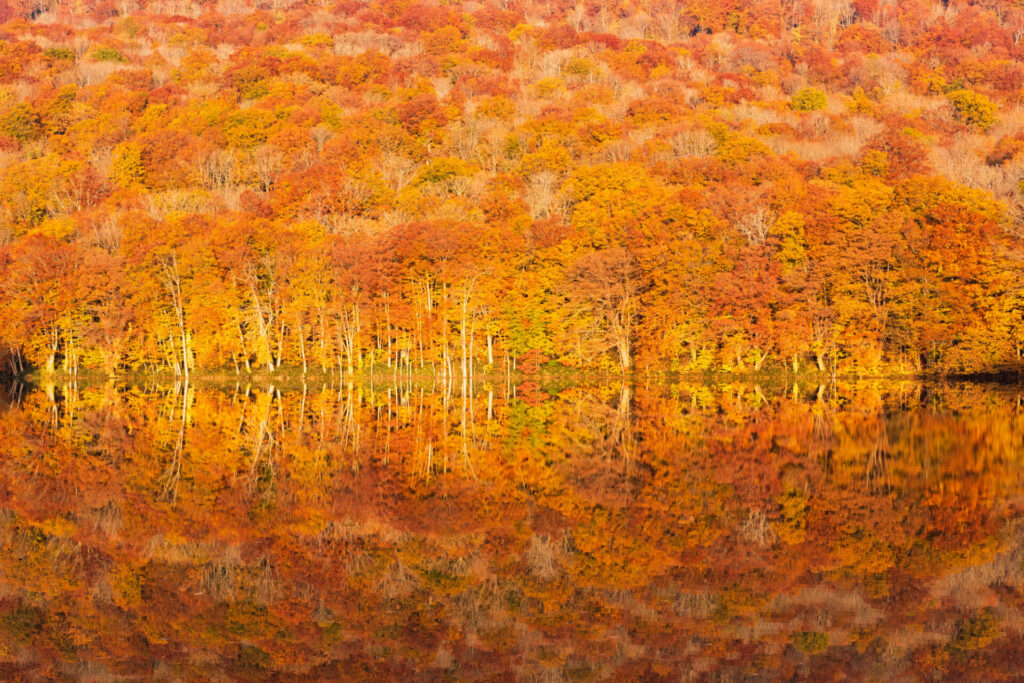 青森 紅葉 モデル コース_3日目