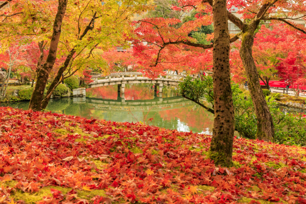 永観堂(禅林寺): 古くから京都の紅葉名所として愛される