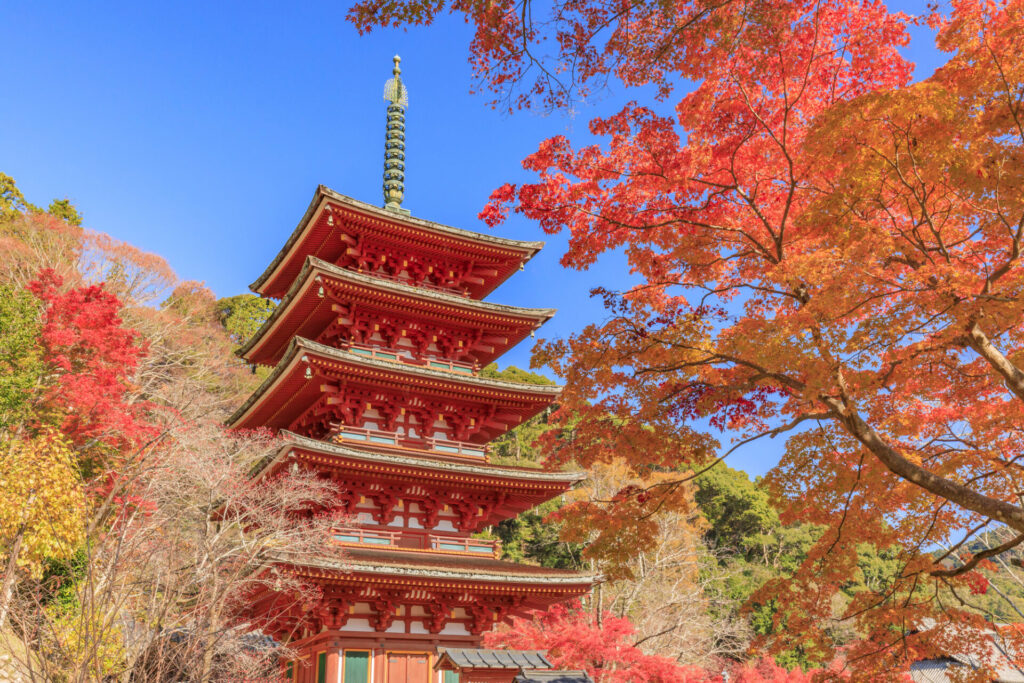 奈良紅葉日帰り_長谷寺