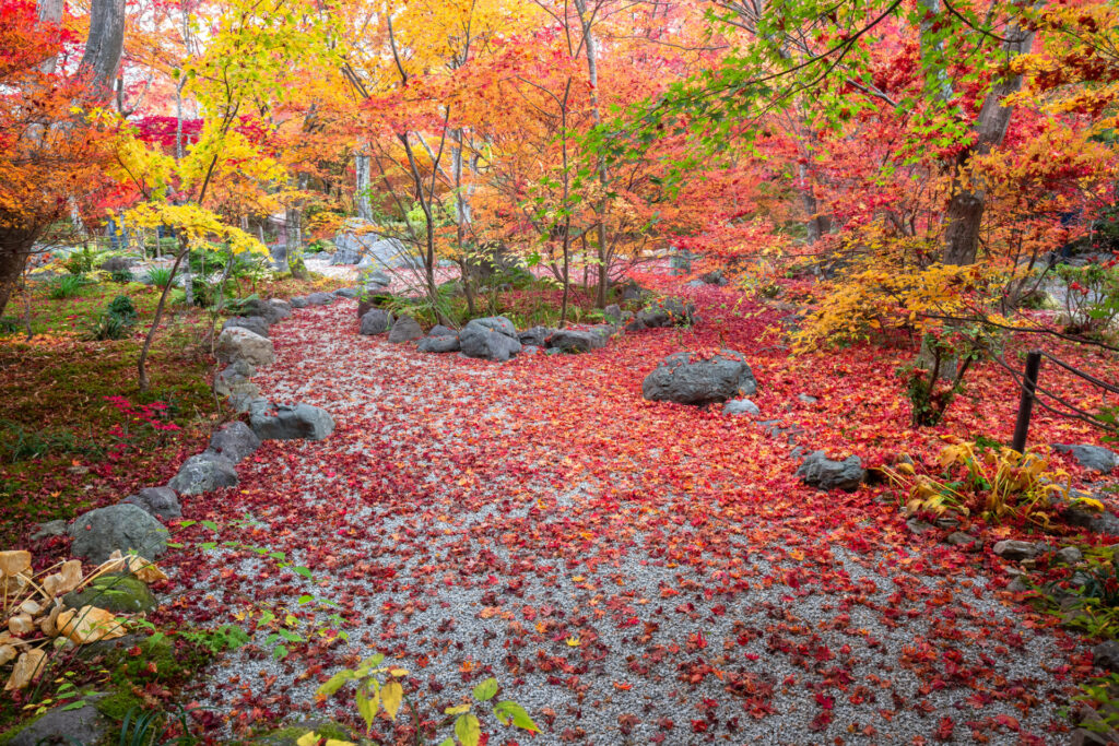 写真好きにおすすめの宝筐院