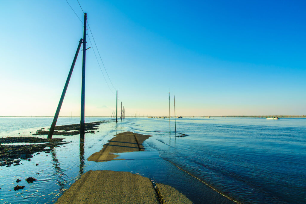 夜: 長部田海床路で幻想的な景色を堪能