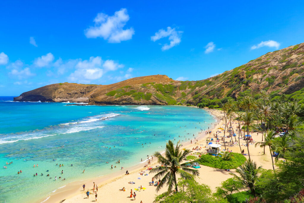 ハナウマ湾自然保護区:熱帯魚やウミガメと出会える