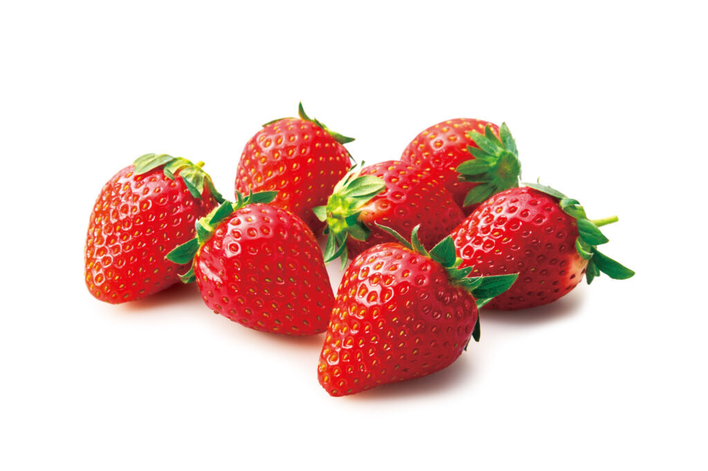 栃木 いちご狩り