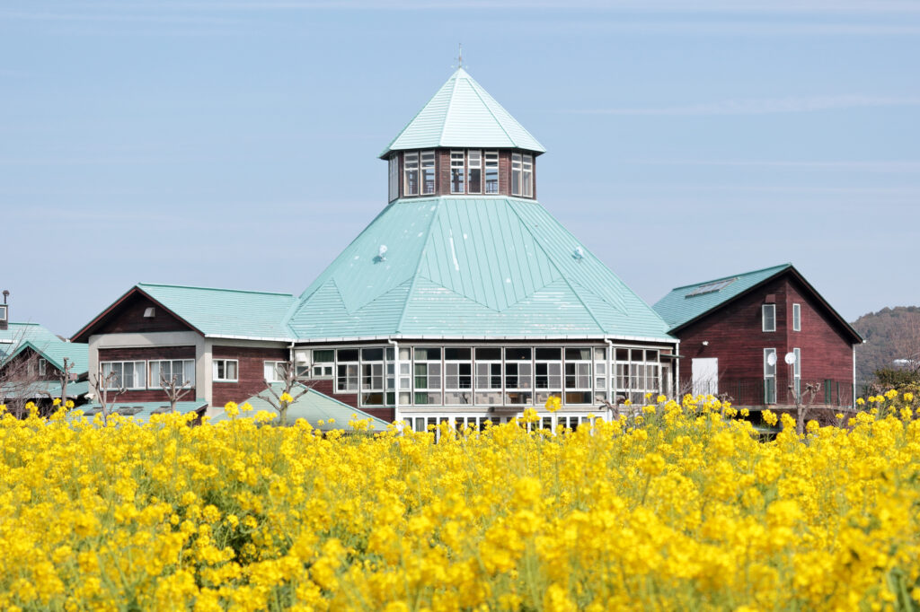 道の駅と菜の花