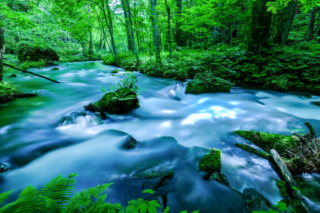 涼しげな奥入瀬渓流