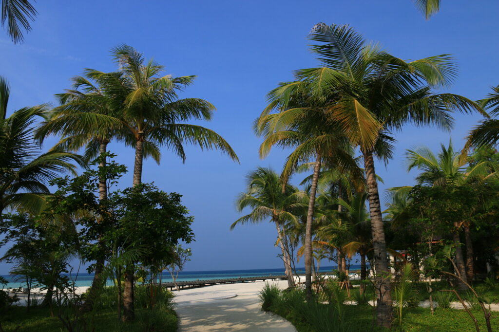 モルディブの人気ホテル