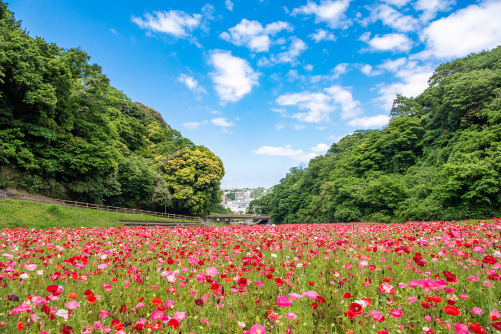 合わせて行きたい！おすすめ観光スポット