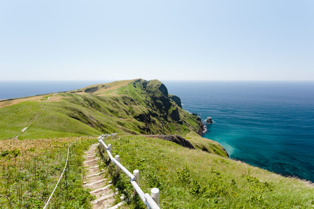 礼文島観光を楽しもう