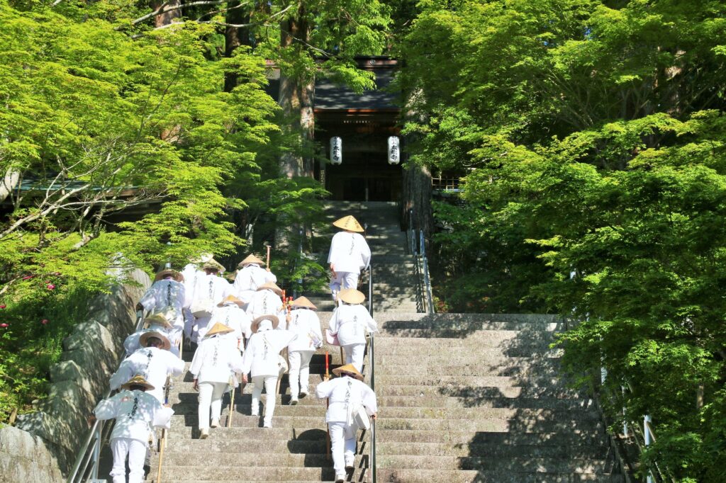 あわせて行きたい!おすすめ観光スポット